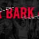 UGA Alumni Game-watching Party